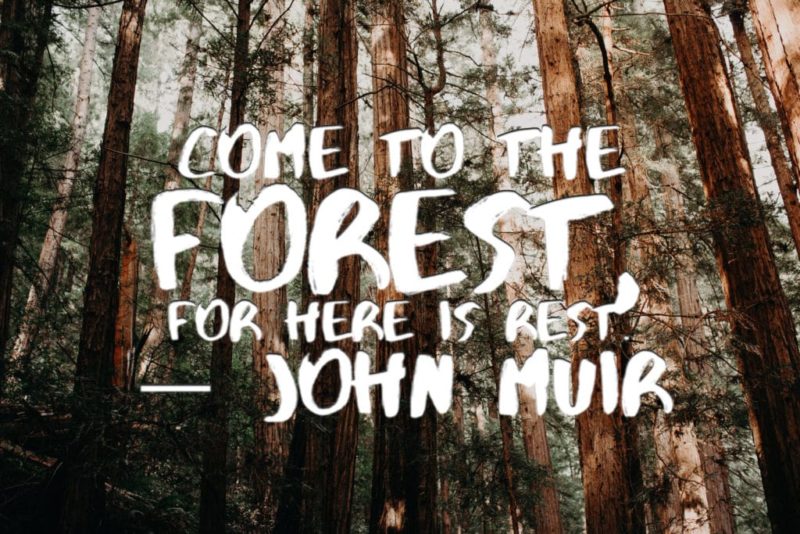 10 John Muir Quotes to Inspire You to Take a Muir Woods Tour