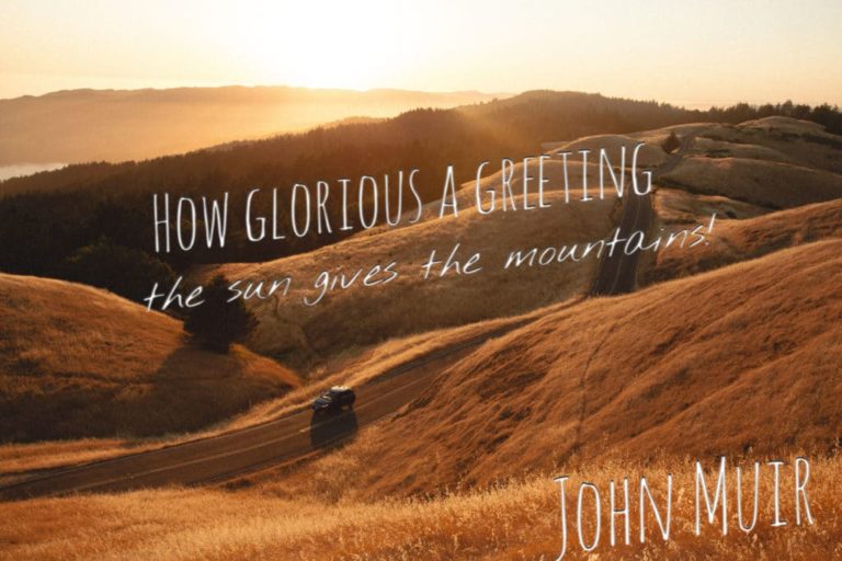 10 John Muir Quotes to Inspire You to Take a Muir Woods Tour