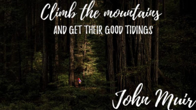 10 John Muir Quotes to Inspire You to Take a Muir Woods Tour