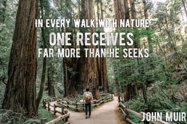 10 John Muir Quotes to Inspire You to Take a Muir Woods Tour