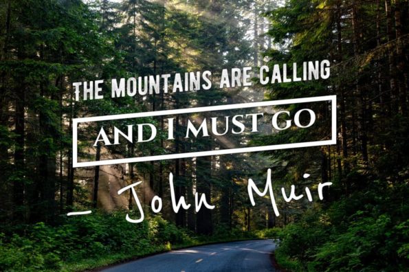 10 John Muir Quotes to Inspire You to Take a Muir Woods Tour