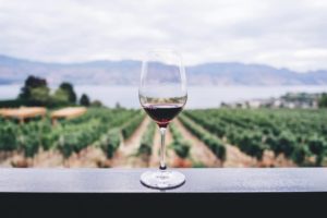 Discover all the best way of getting to Wine Country from San Francisco