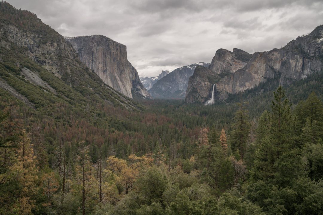 The Perfect Yosemite Day Trip