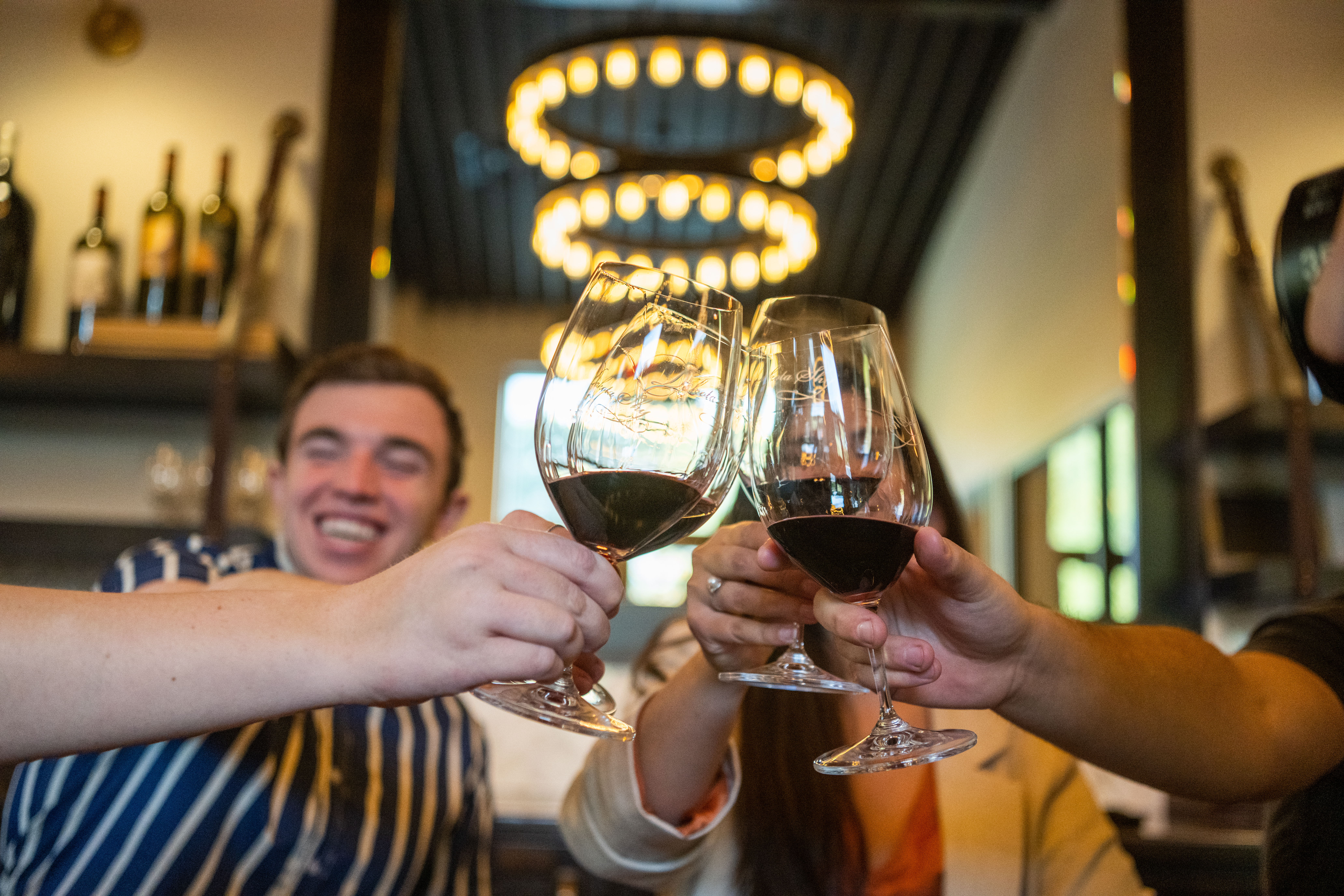 People cheers-ing their wine glasses in a winery.