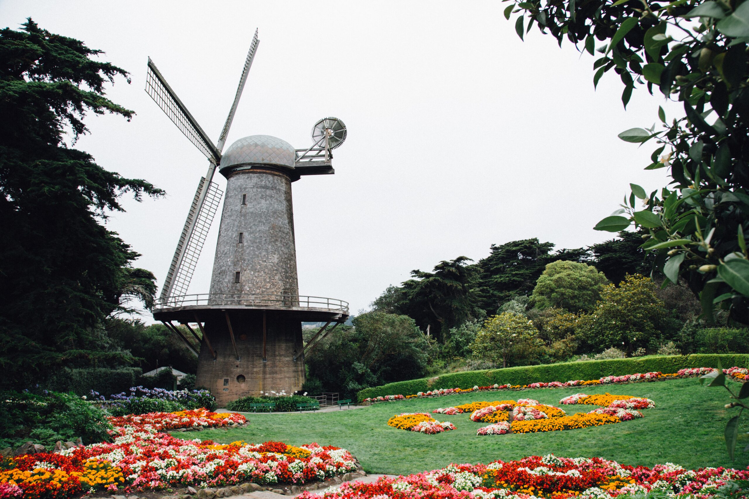 View of the Dutch Windmill in Golden Gate Park, San Francisco