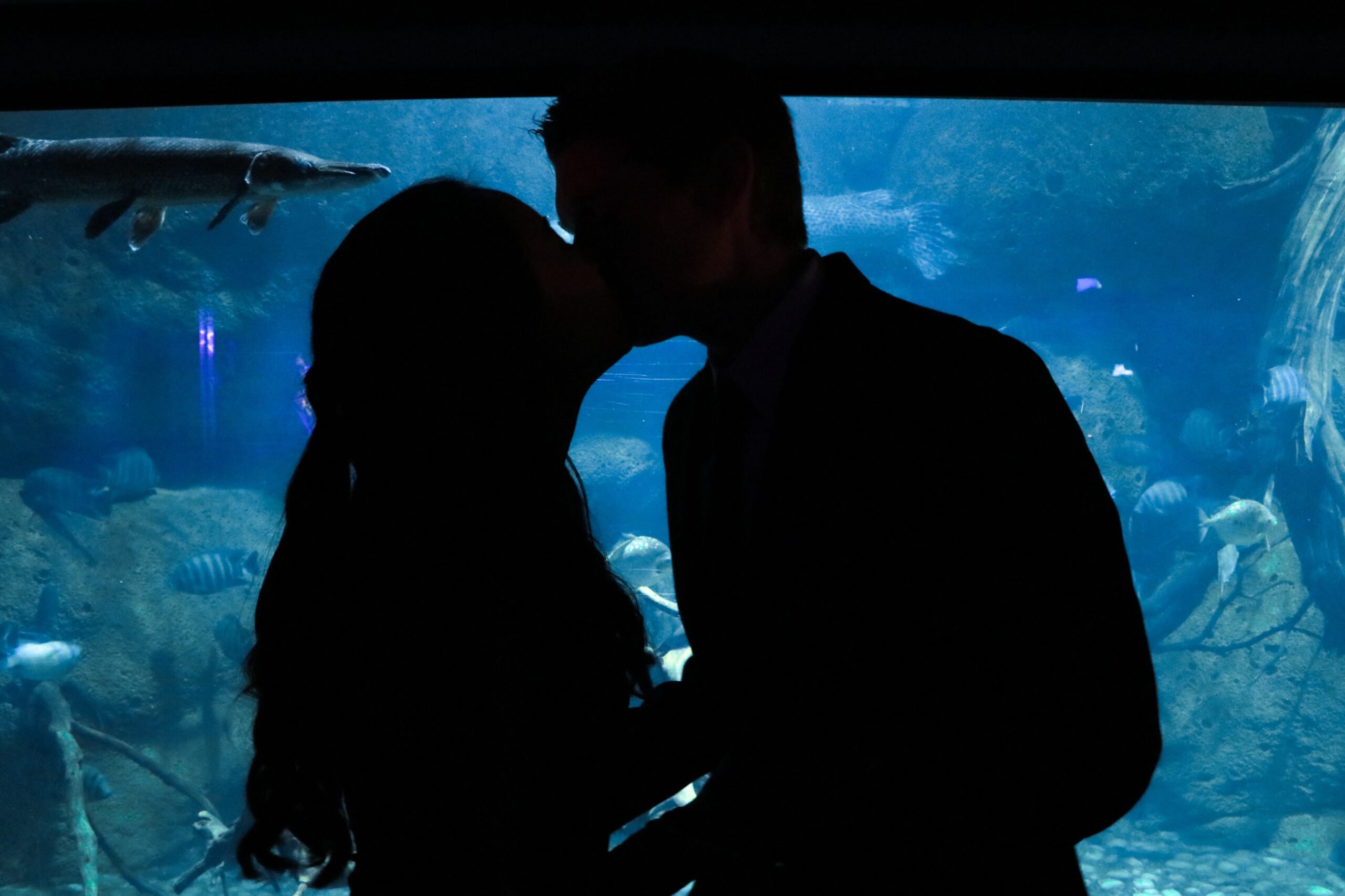 Couple kissing on a date in front of an aquarium