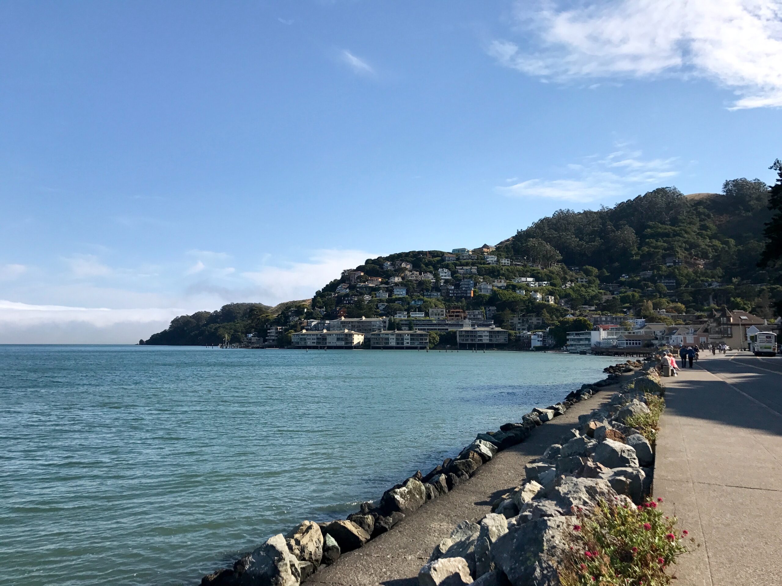 View of Sausalito's waterfront