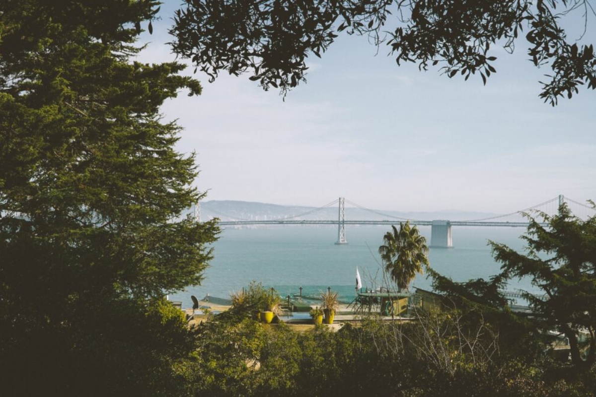 Framed view of Bay Bridge spanning San Francisco Bay through trees with garden terrace viewpoint in foreground